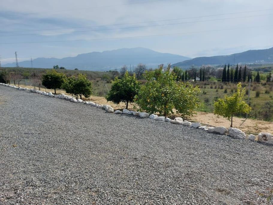 Andalusian Farmhouse With Barbecue, Pool And Wifi Málaga Exterior foto